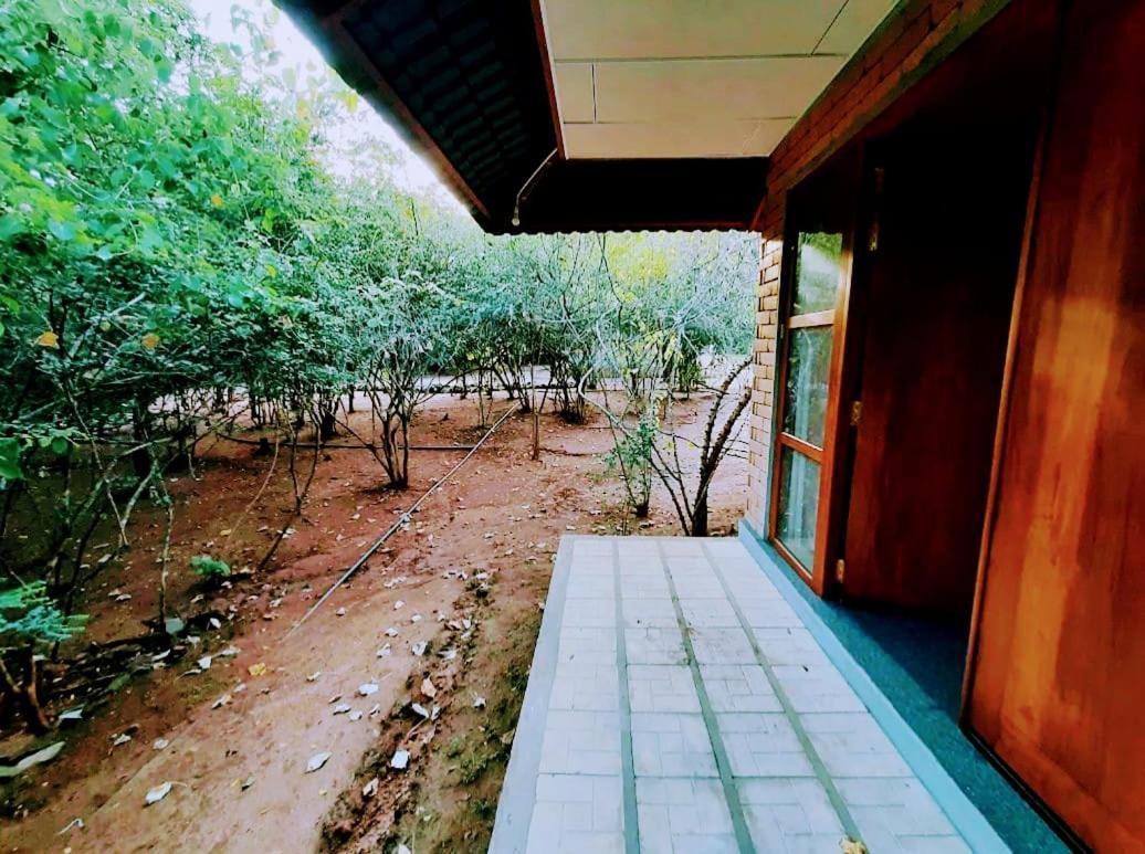 Elephant Arcade Tissamaharama Luaran gambar